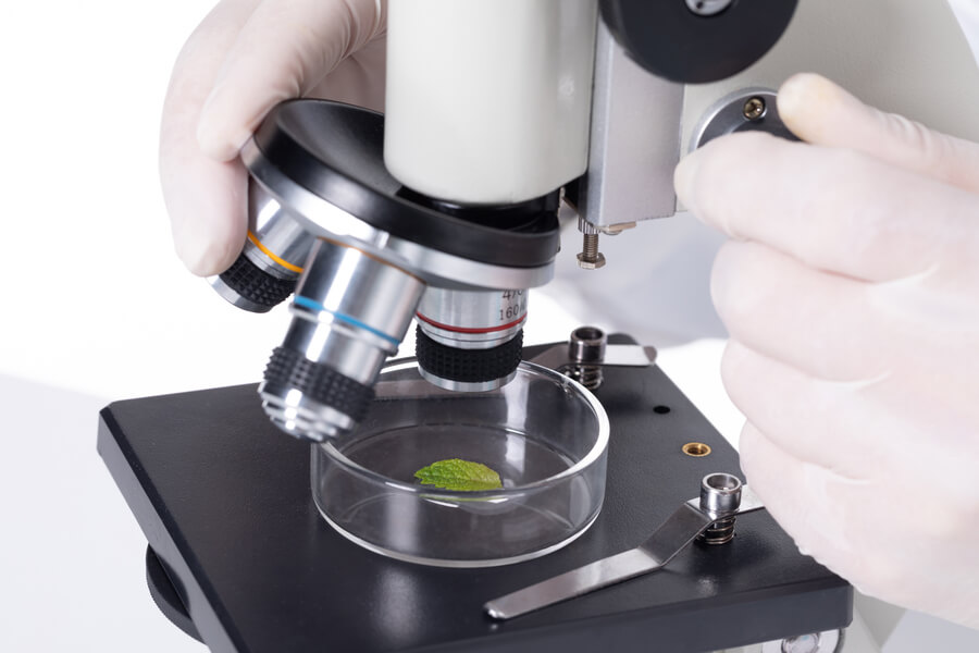 Susceptibilidad a los antimicrobianos - Microscopio analizando bacterias resistentes a los antimicrobianos, simbolizando la resistencia a los antimicrobianos